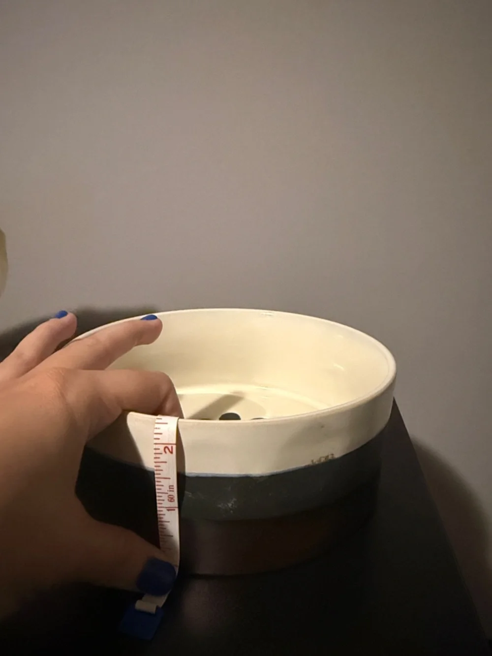 Ceramic Metallic Dog Bowls